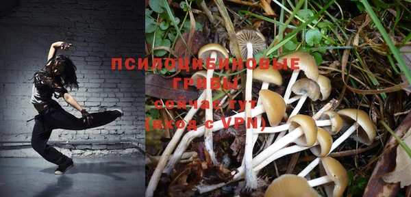хмурый Зеленодольск