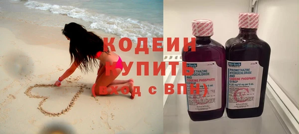 spice Инта